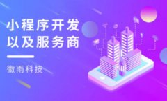 app开发 高端营销型网站设计/小程序定制开发 